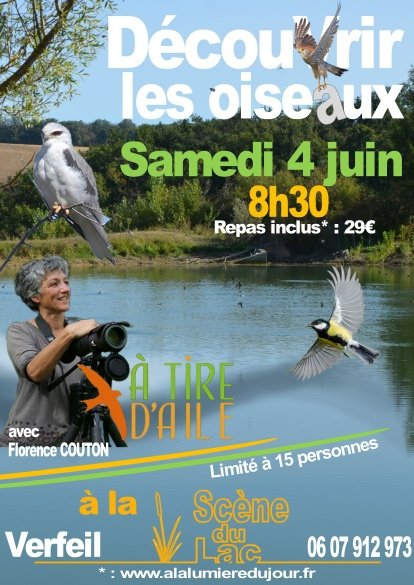 Cliquez sur l'image pour l'agrandir